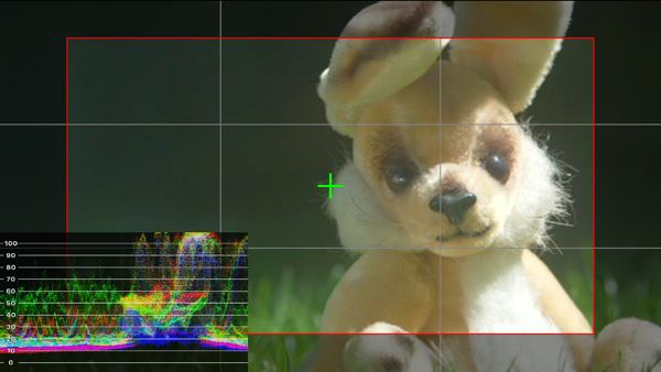 FieldMonitor with WFM and markers